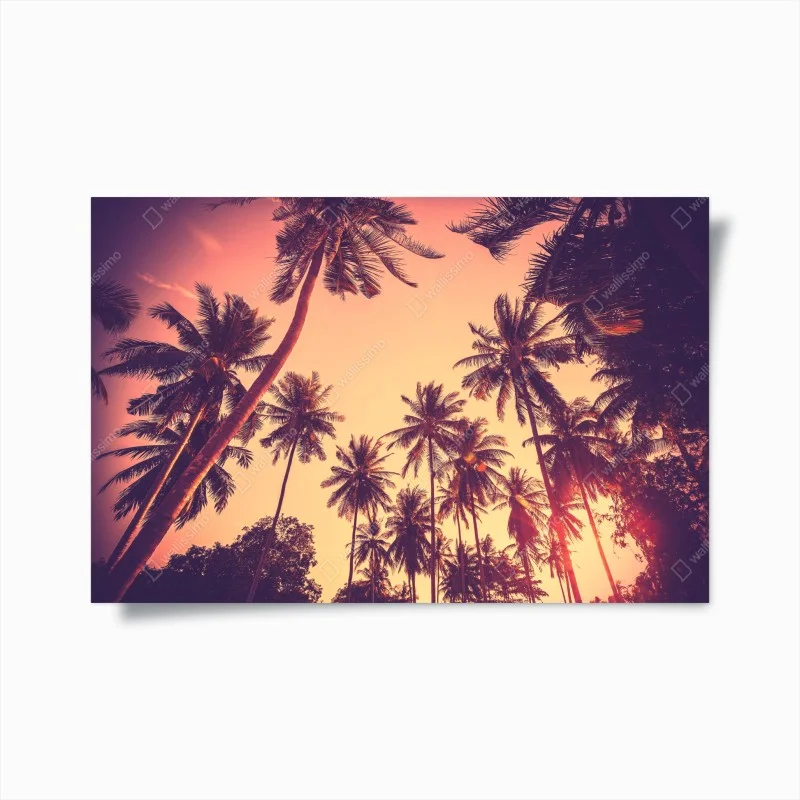 Poster tramonto tropicale tra le palme