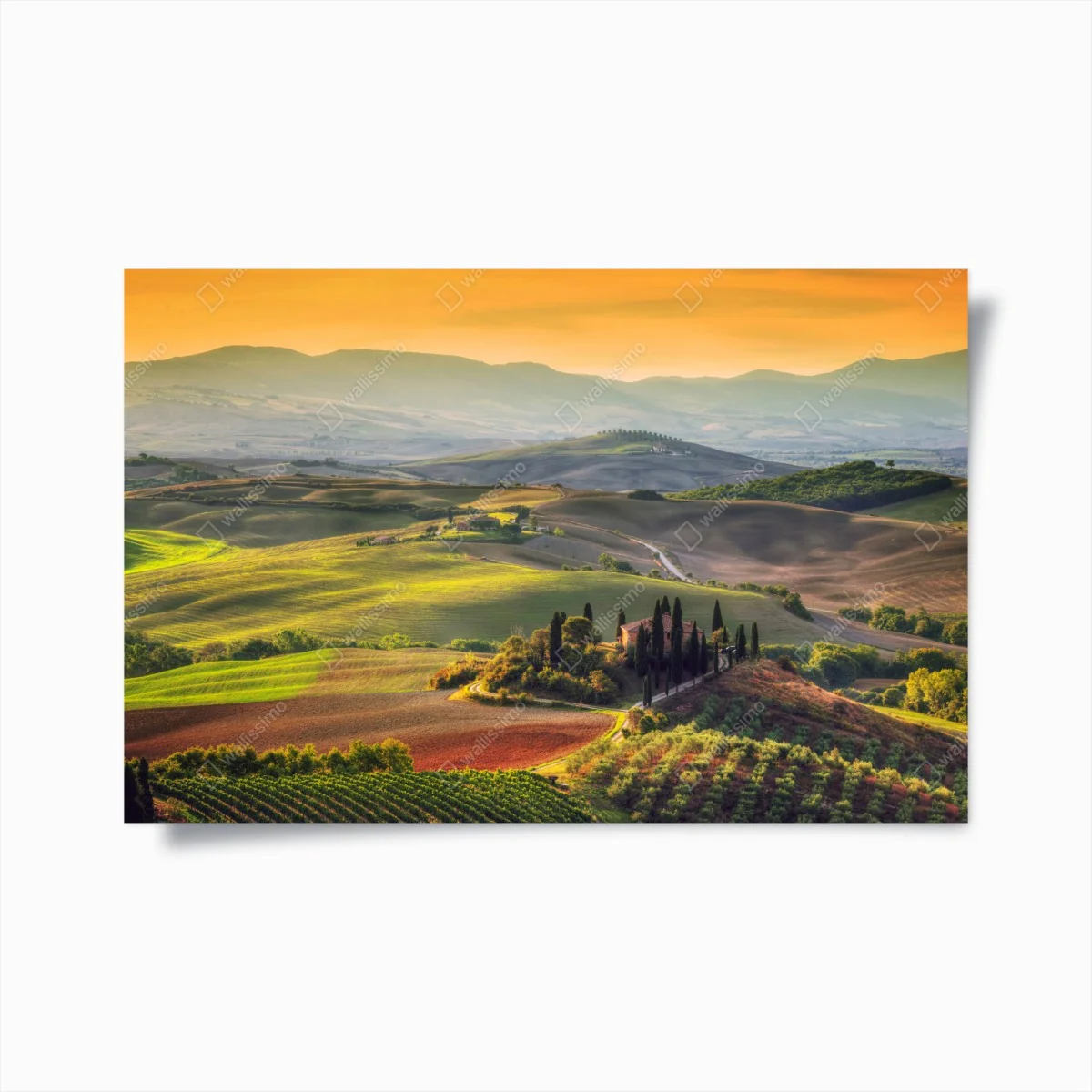 Poster colline dorate al tramonto • Wallissimo® Poster colline dorate al tramonto • Wallissimo®