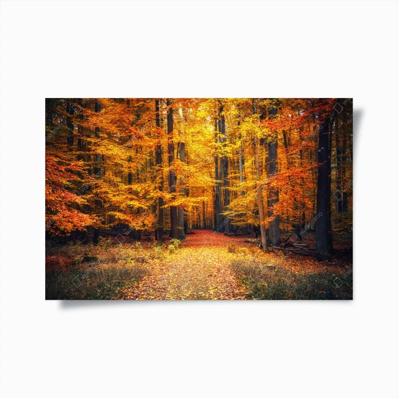 Poster sentiero nel bosco autunnale dorato