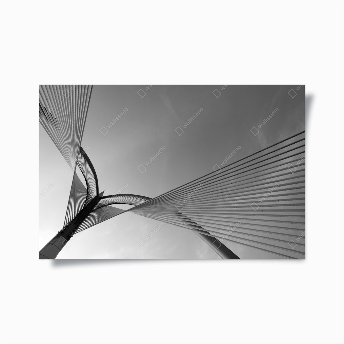 Poster linee intrecciate dell'architettura moderna • Wallissimo®
