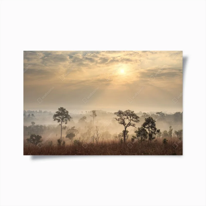 Poster alba nella savana della Thailandia