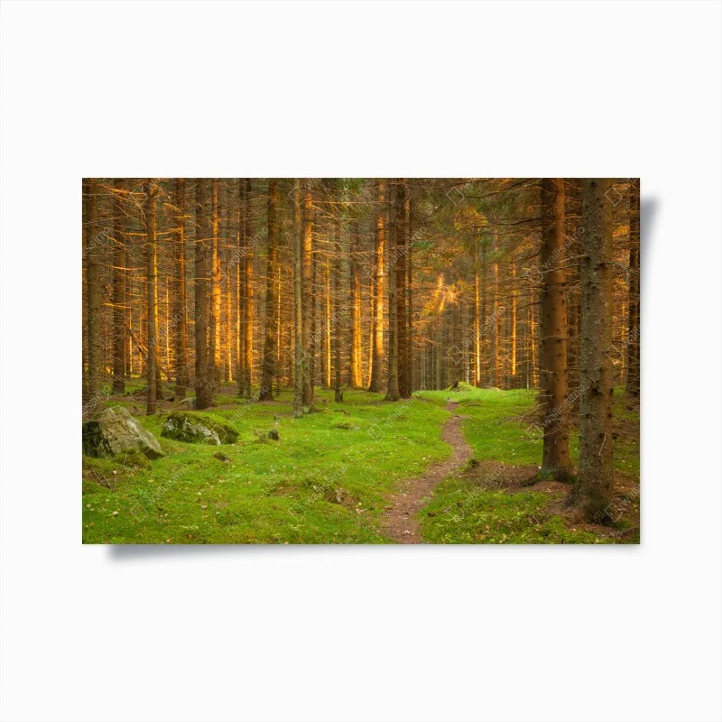 Poster sentiero nella foresta dorata