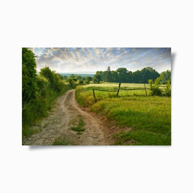 Poster sentiero di campagna nella luce dorata