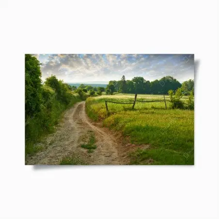 Poster sentiero di campagna nella luce dorata • Wallissimo®