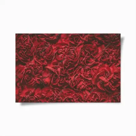 Poster eleganza di garofani rossi retrò • Wallissimo®