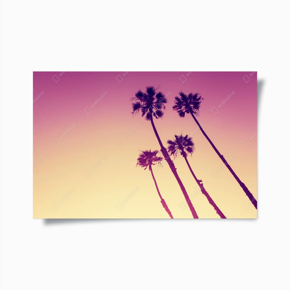 Poster tramonto californiano con palme di San Diego • Wallissimo® Poster tramonto californiano con palme di San Diego • Wallissimo®
