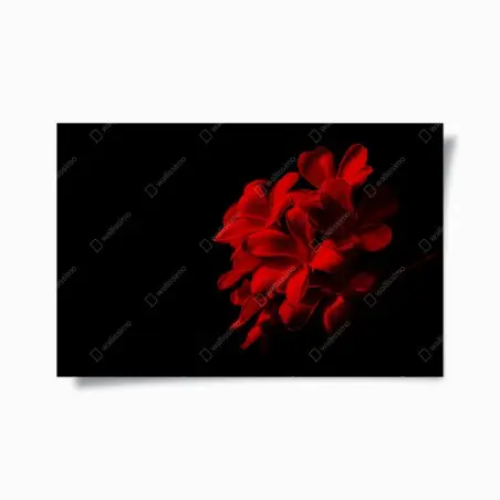 Poster plumeria rossa su sfondo nero, eleganza minimalista • Wallissimo®