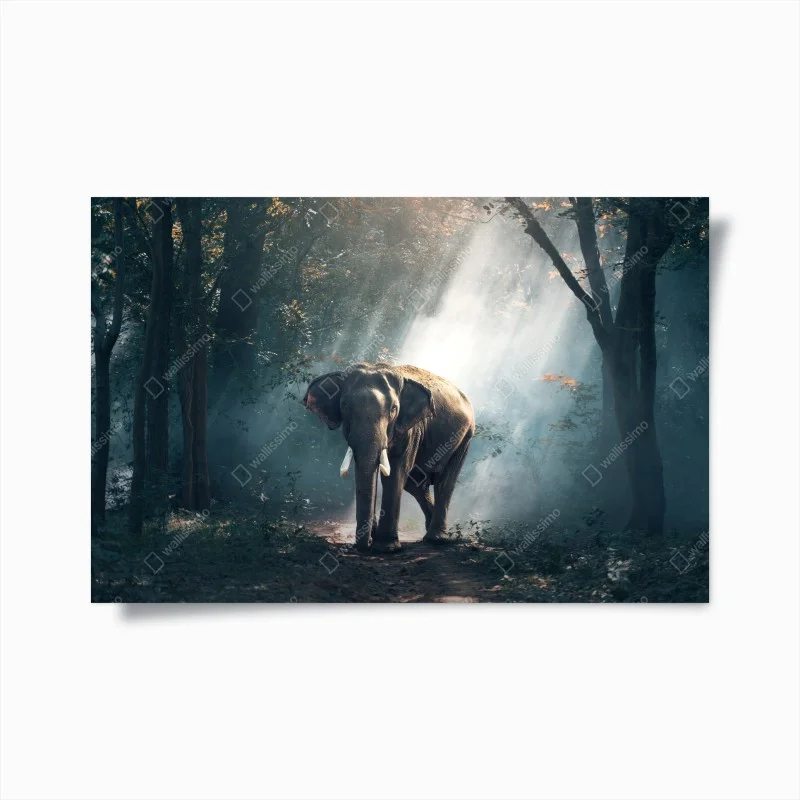 Poster elefante maestoso nella foresta illuminata
