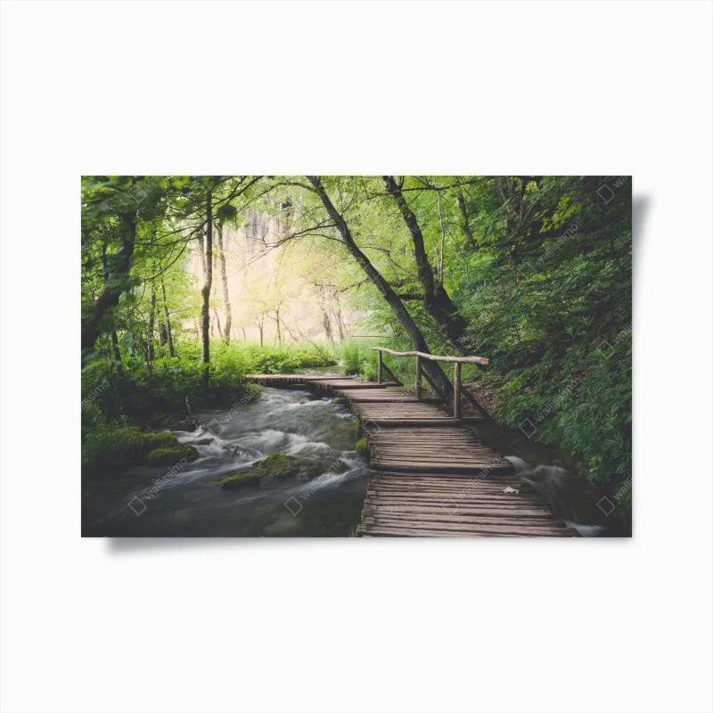 Poster sentiero di legno sulle acque del bosco