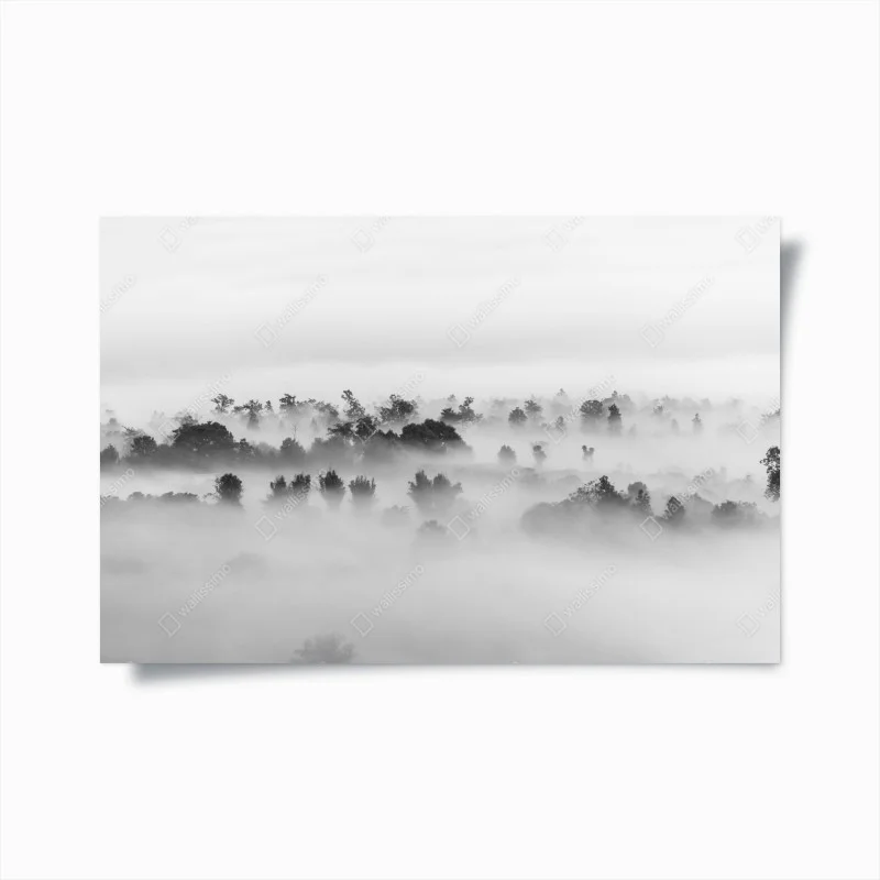 Poster mare di nuvole sulla foresta - minimalismo in bianco e nero