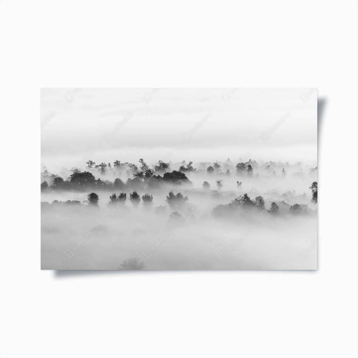 Poster mare di nuvole sulla foresta - minimalismo in bianco e nero • Wallissimo®