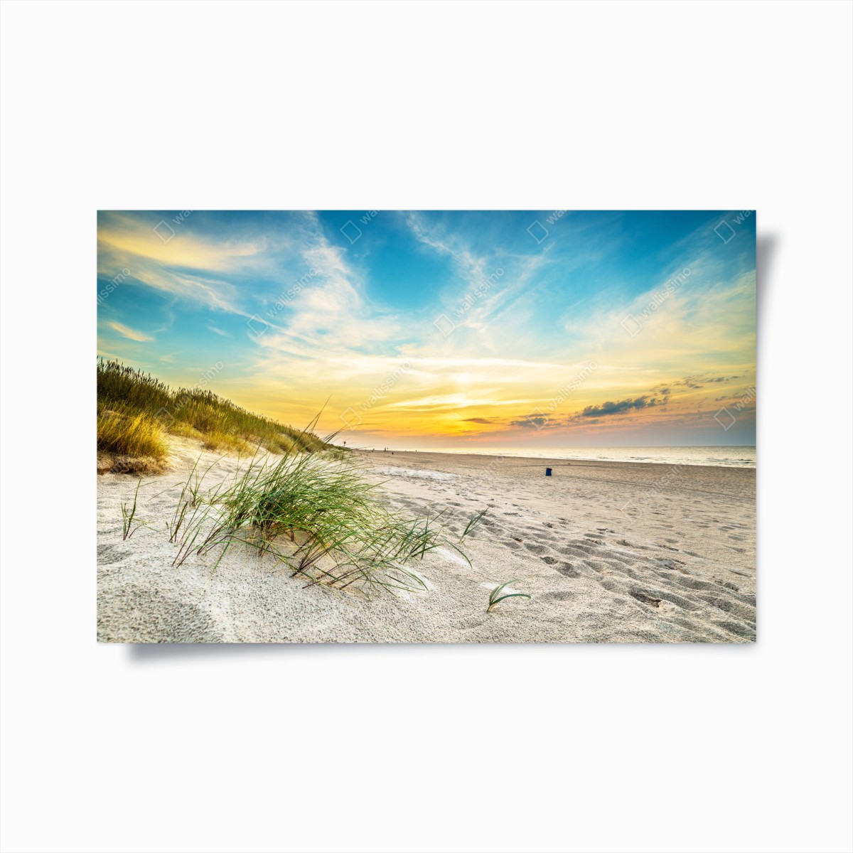 Poster tramonto sulla spiaggia con dune e erba marina • Wallissimo®