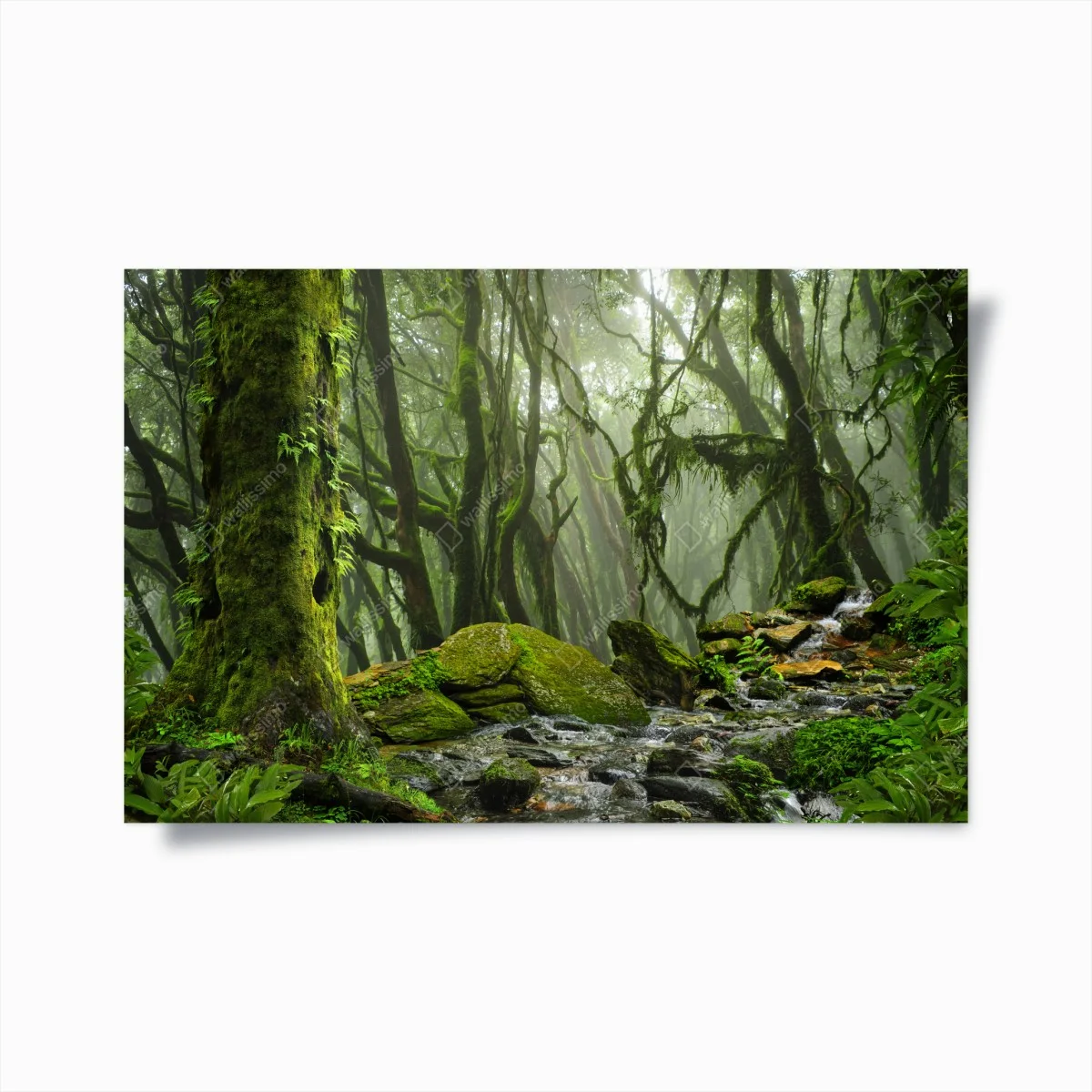 Poster foresta incantata di muschio e nebbia • Wallissimo® Poster foresta incantata di muschio e nebbia • Wallissimo®