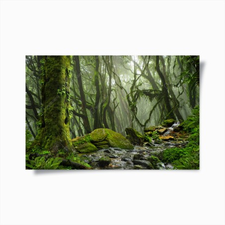 Poster foresta incantata di muschio e nebbia • Wallissimo®