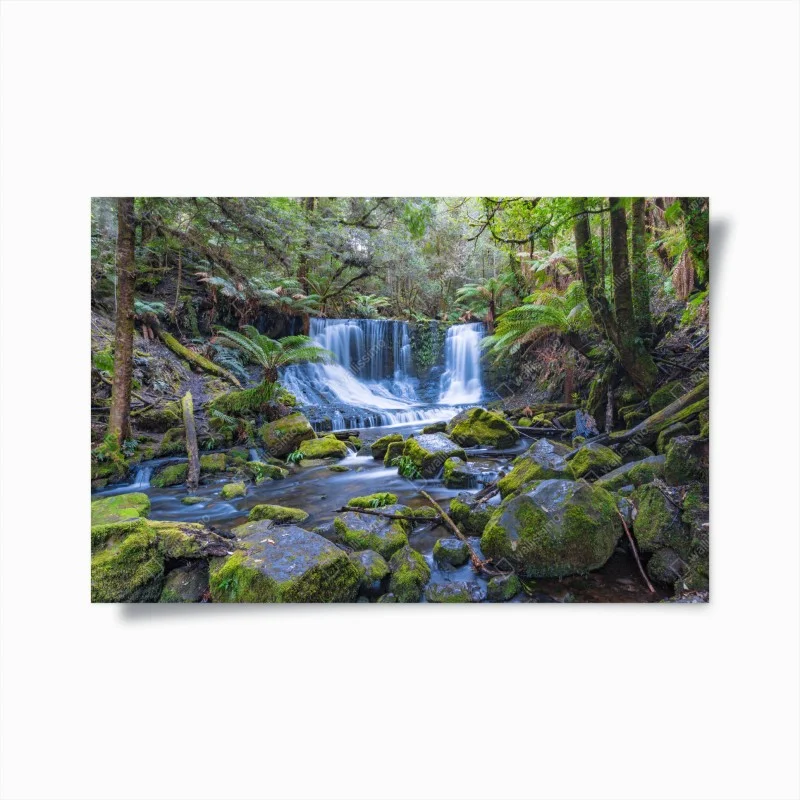 Poster cascata tra le felci nella foresta