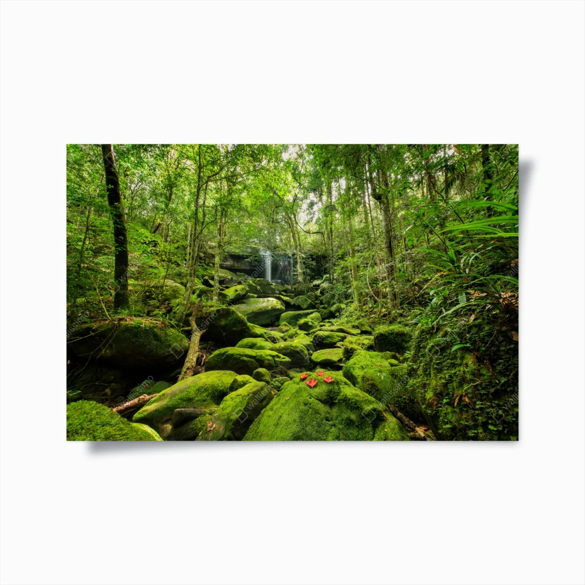 Poster oasi di muschio e cascata nella foresta pluviale • Wallissimo® Poster oasi di muschio e cascata nella foresta pluviale • Wallissimo®