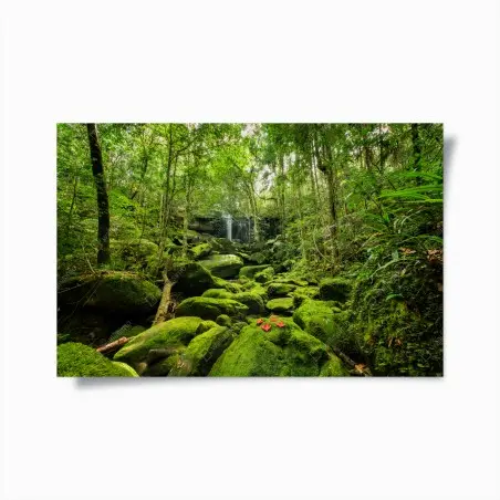 Poster oasi di muschio e cascata nella foresta pluviale • Wallissimo®