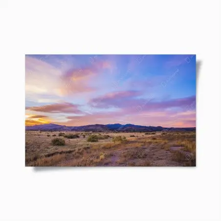 Poster tramonto pastello sulla prateria • Wallissimo®