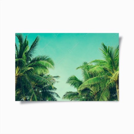 Poster oasi tropicale - palme e cielo turchese • Wallissimo®