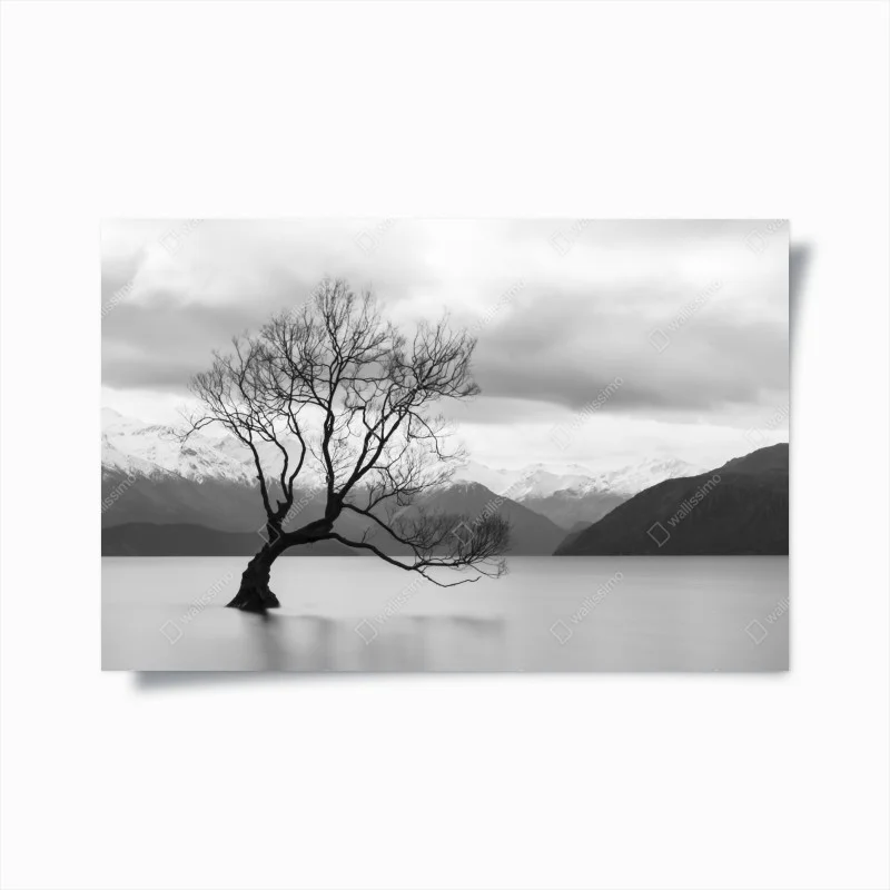 Poster albero solitario nel lago montano