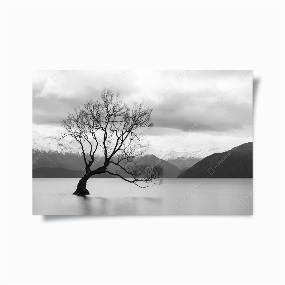 Poster albero solitario nel lago montano • Wallissimo® Poster albero solitario nel lago montano • Wallissimo®