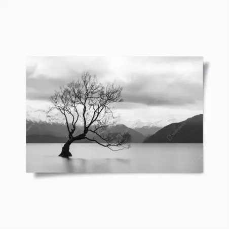 Poster albero solitario nel lago montano • Wallissimo®