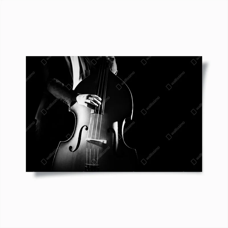 Poster eleganza del contrabbasso in controluce