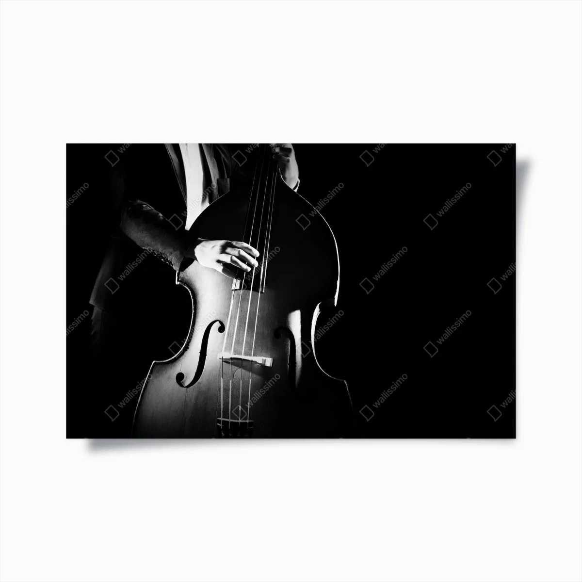 Poster eleganza del contrabbasso in controluce • Wallissimo® Poster eleganza del contrabbasso in controluce • Wallissimo®