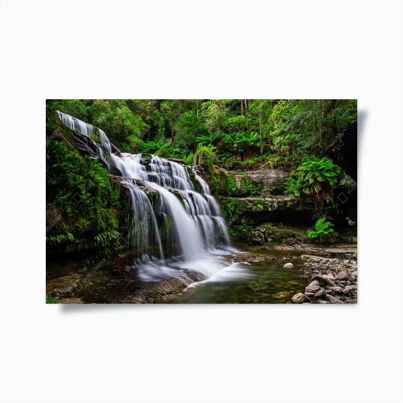 Poster cascate di Liffey, rifugio verde in Tasmania