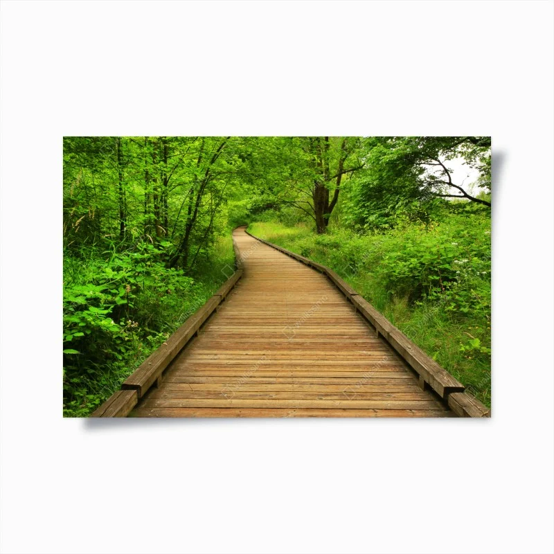 Poster sentiero di legno nella foresta verde