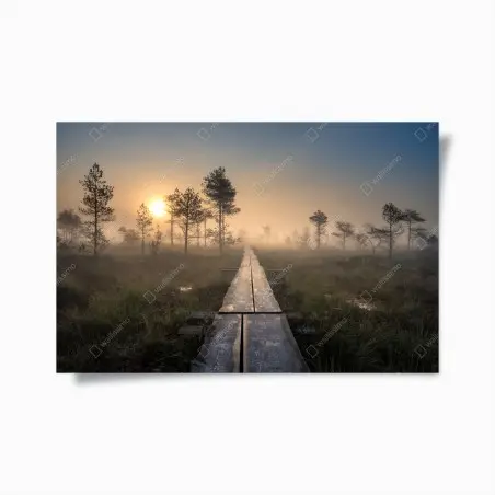 Poster passerella nella nebbia all'alba • Wallissimo®