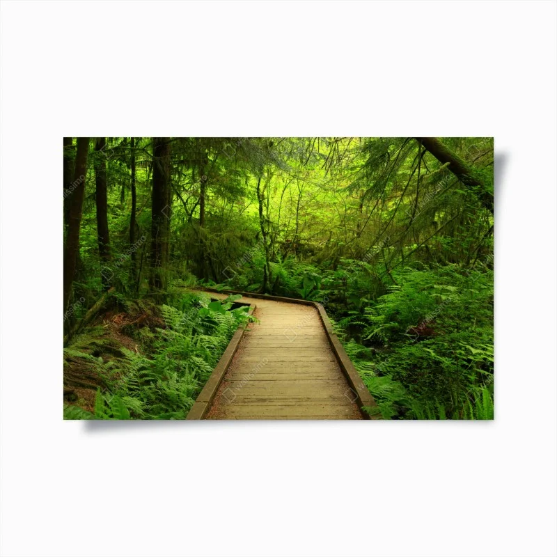 Poster sentiero nel bosco verde