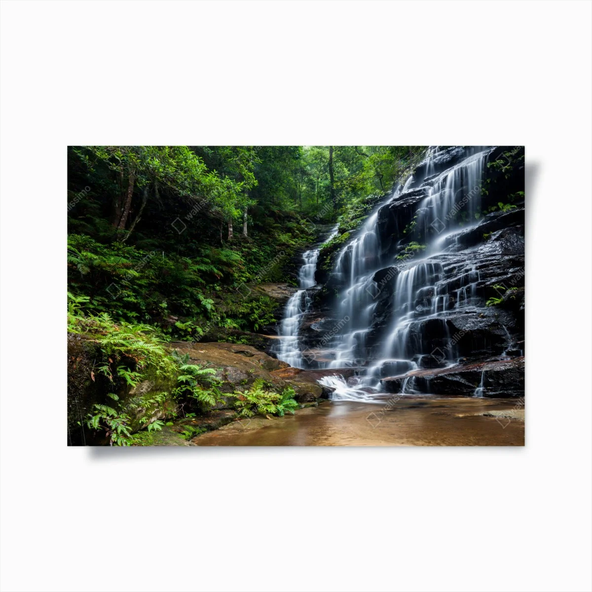 Poster cascata nella foresta lussureggiante • Wallissimo® Poster cascata nella foresta lussureggiante • Wallissimo®