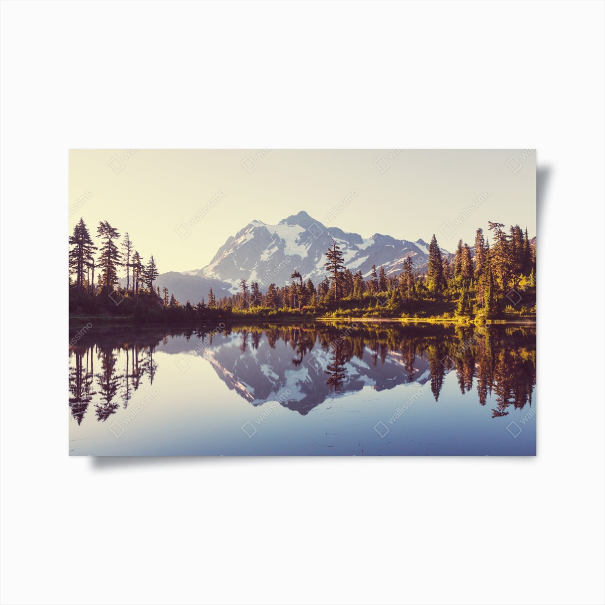 Poster riflessi dorati di Monte Shuksan sul lago • Wallissimo®