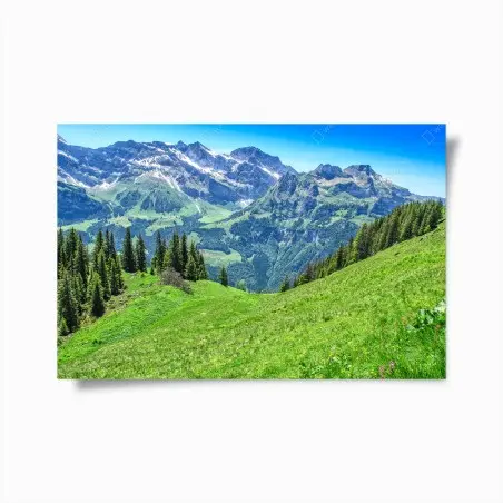 Poster panorama alpino estivo - Alpi Svizzere, Engelberg • Wallissimo®