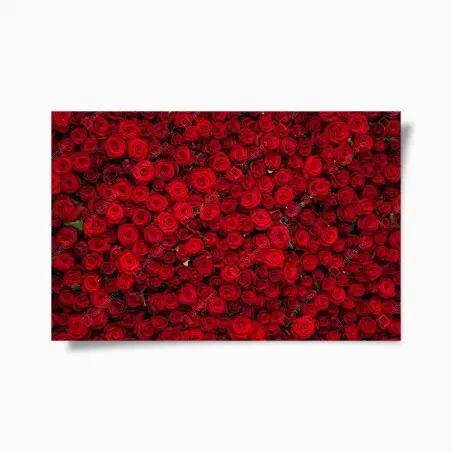 Poster mosaico di rose rosse • Wallissimo®