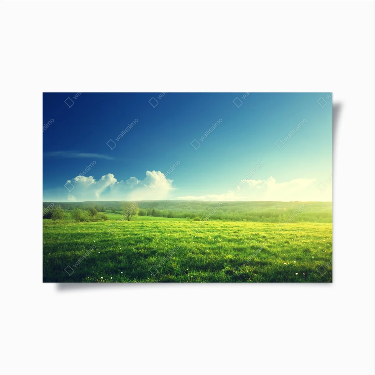 Poster paesaggio primaverile al tramonto • Wallissimo® Poster paesaggio primaverile al tramonto • Wallissimo®