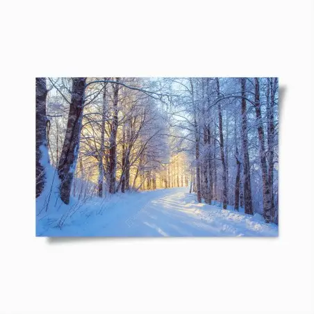 Poster bosco innevato alla luce dorata • Wallissimo®