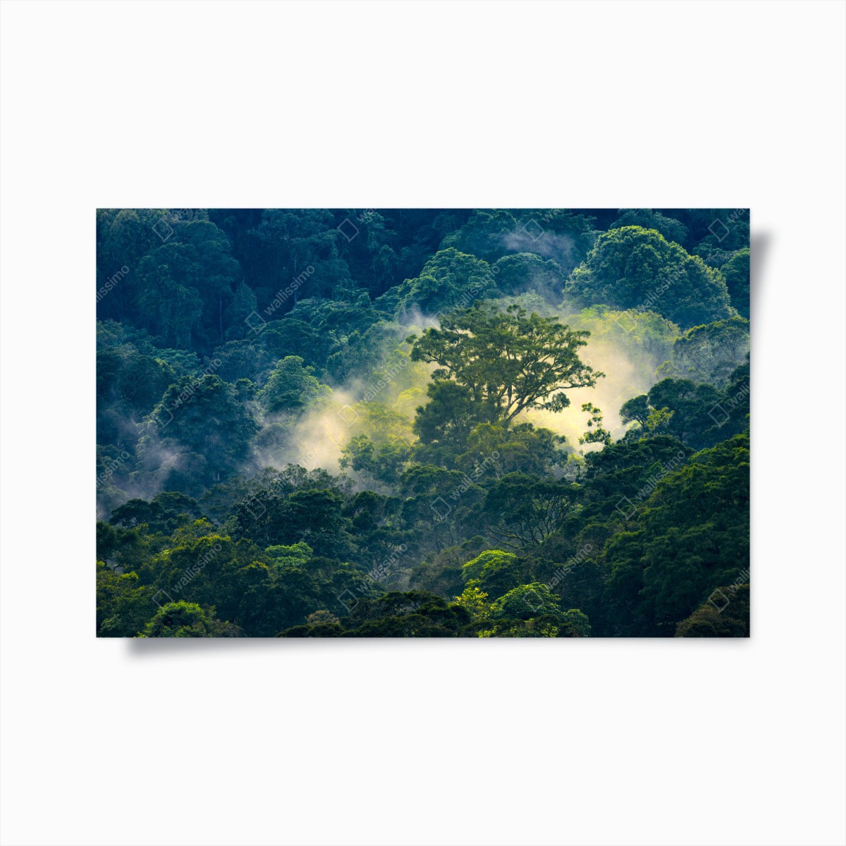Poster chioma dorata nella foresta mistica • Wallissimo®