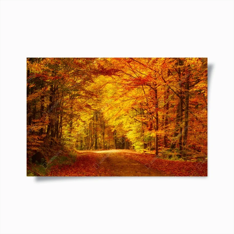 Poster sentiero d'autunno nel bosco dorato
