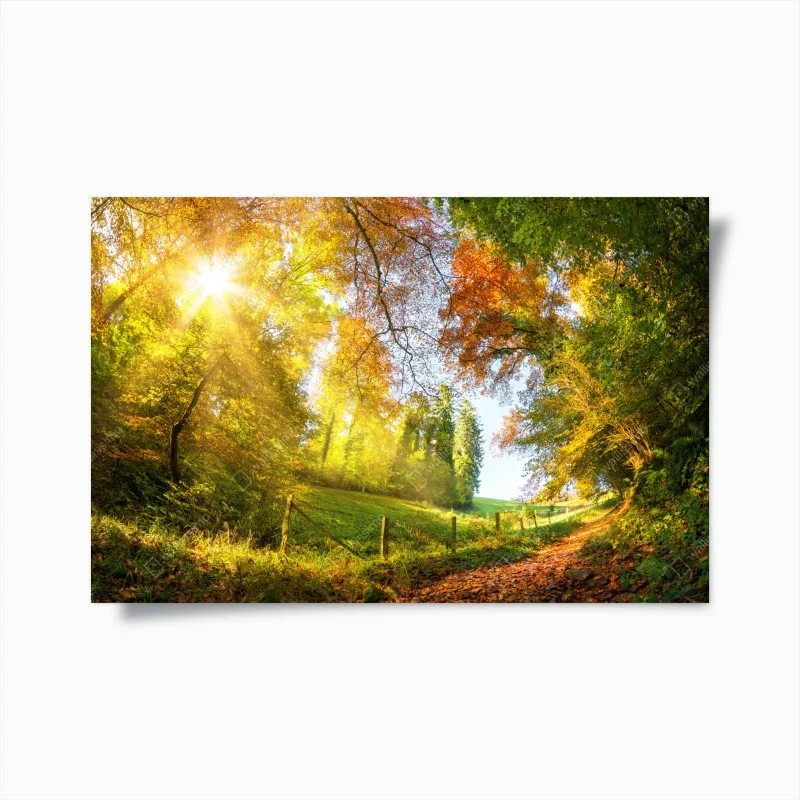 Poster sentiero d'autunno nel bosco