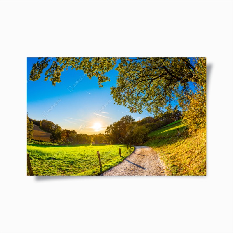 Poster sentiero dorato nella valle al tramonto