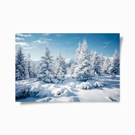 Poster silenzio innevato nei Carpazi, Ucraina • Wallissimo®