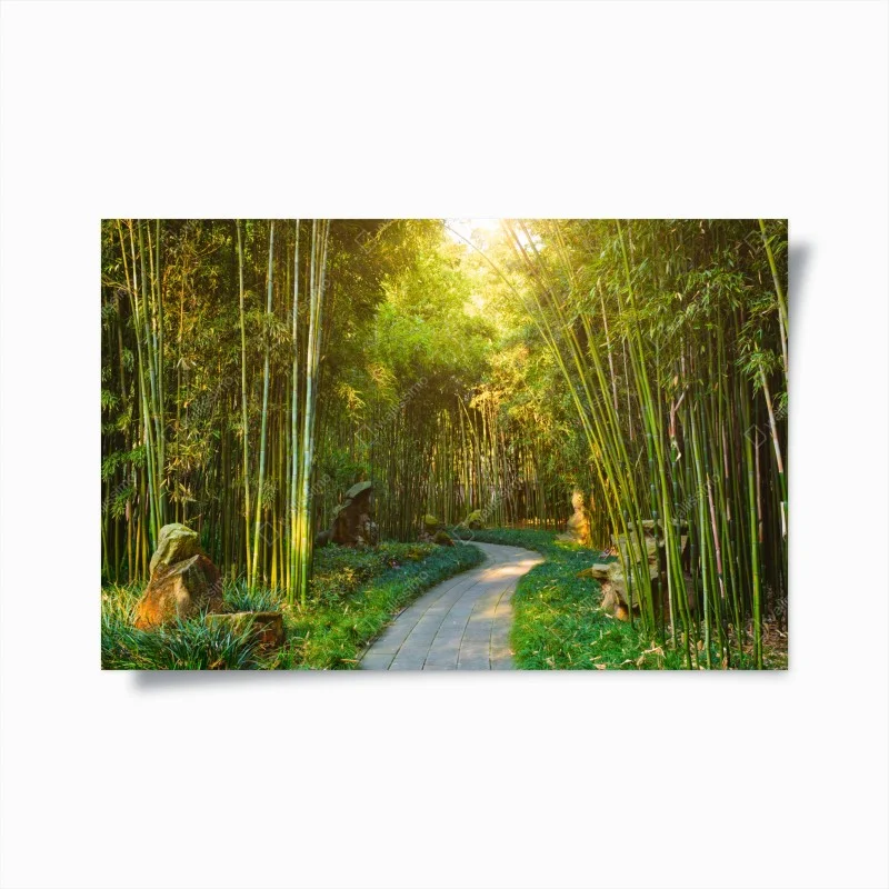 Poster sentiero di bambù dorato