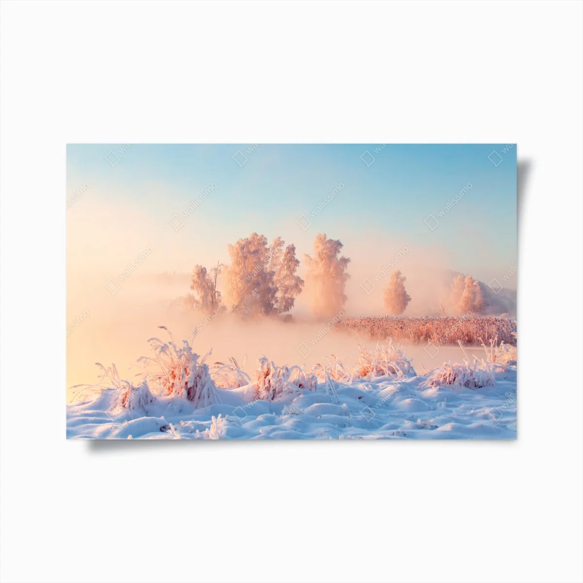 Poster alba rosa su paesaggio innevato • Wallissimo® Poster alba rosa su paesaggio innevato • Wallissimo®