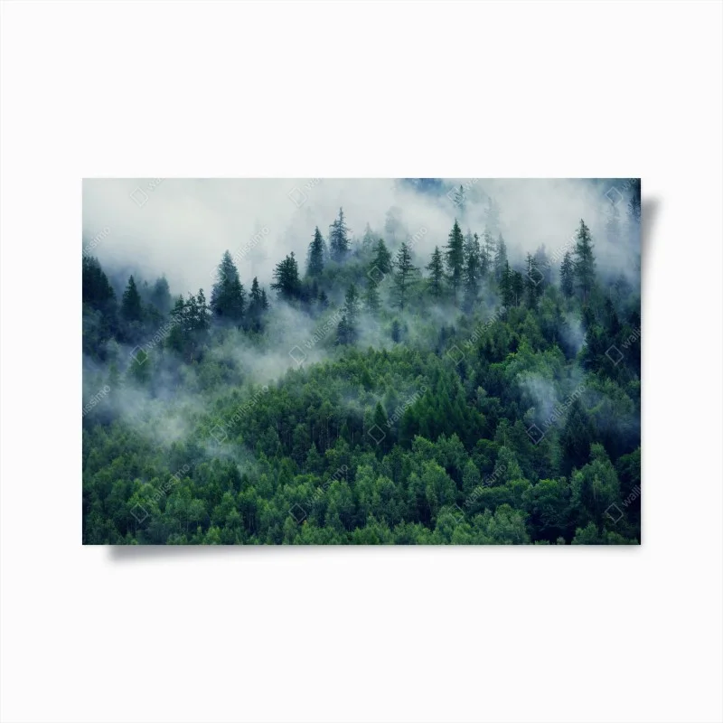 Poster foresta avvolta dalla nebbia