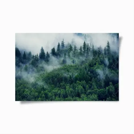 Poster foresta avvolta dalla nebbia • Wallissimo®