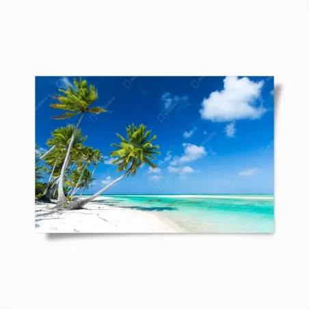 Poster paradiso tropicale spiaggia di palme e mare turchese • Wallissimo®