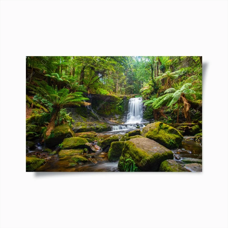 Poster cascata nella foresta incontaminata
