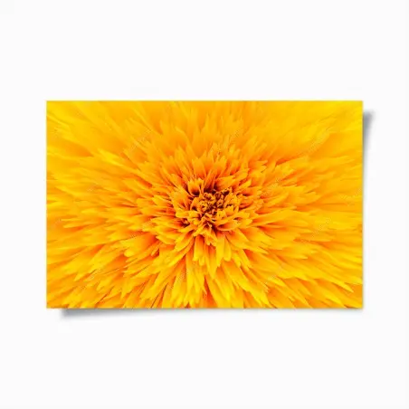 Poster esplosione di petali: texture di girasole per arredo • Wallissimo®